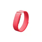 Google Fitbit Air Classic Berry