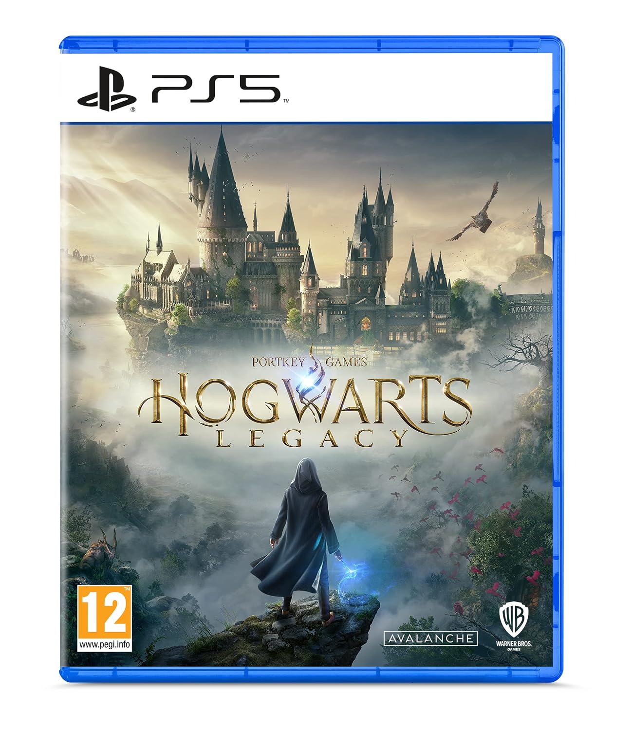 81etAae966L._SL1500_ Hogwarts Legacy PS5 - Image 1